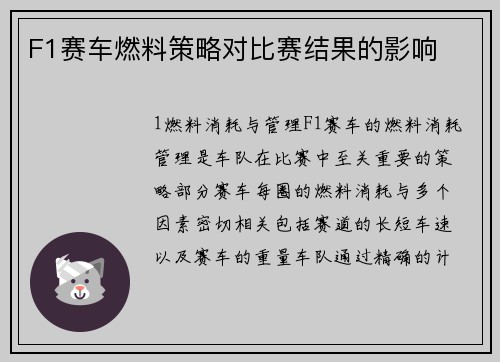 F1赛车燃料策略对比赛结果的影响