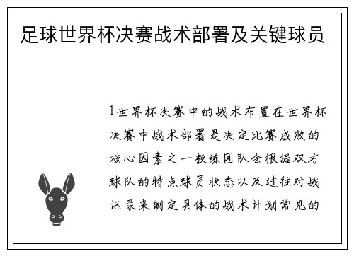 足球世界杯决赛战术部署及关键球员